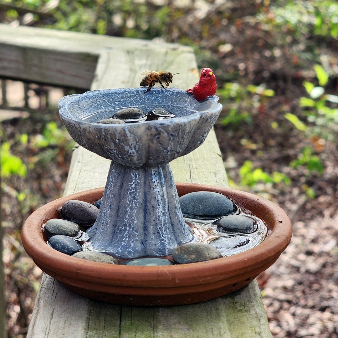 Close-up of a BloomWings Bee Mini-Bar with stones and shallow water